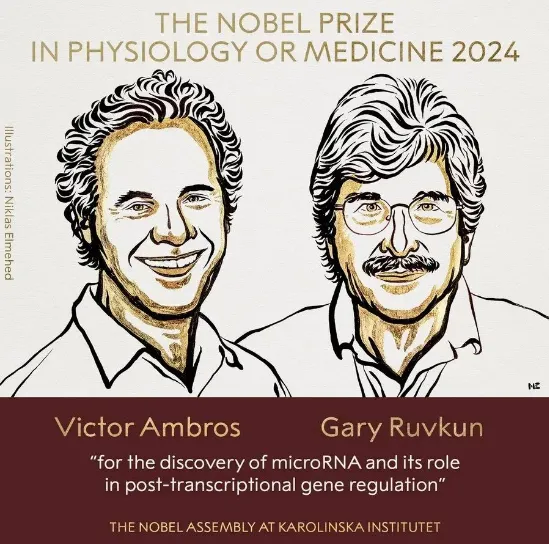 2024年諾貝爾生理學或醫(yī)學獎獲獎?wù)撸琕ictor Ambros和Gary Ruvkun